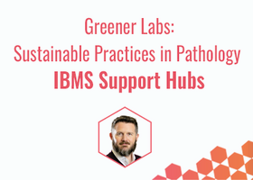 IBMS Support Hubs 2026 10.png