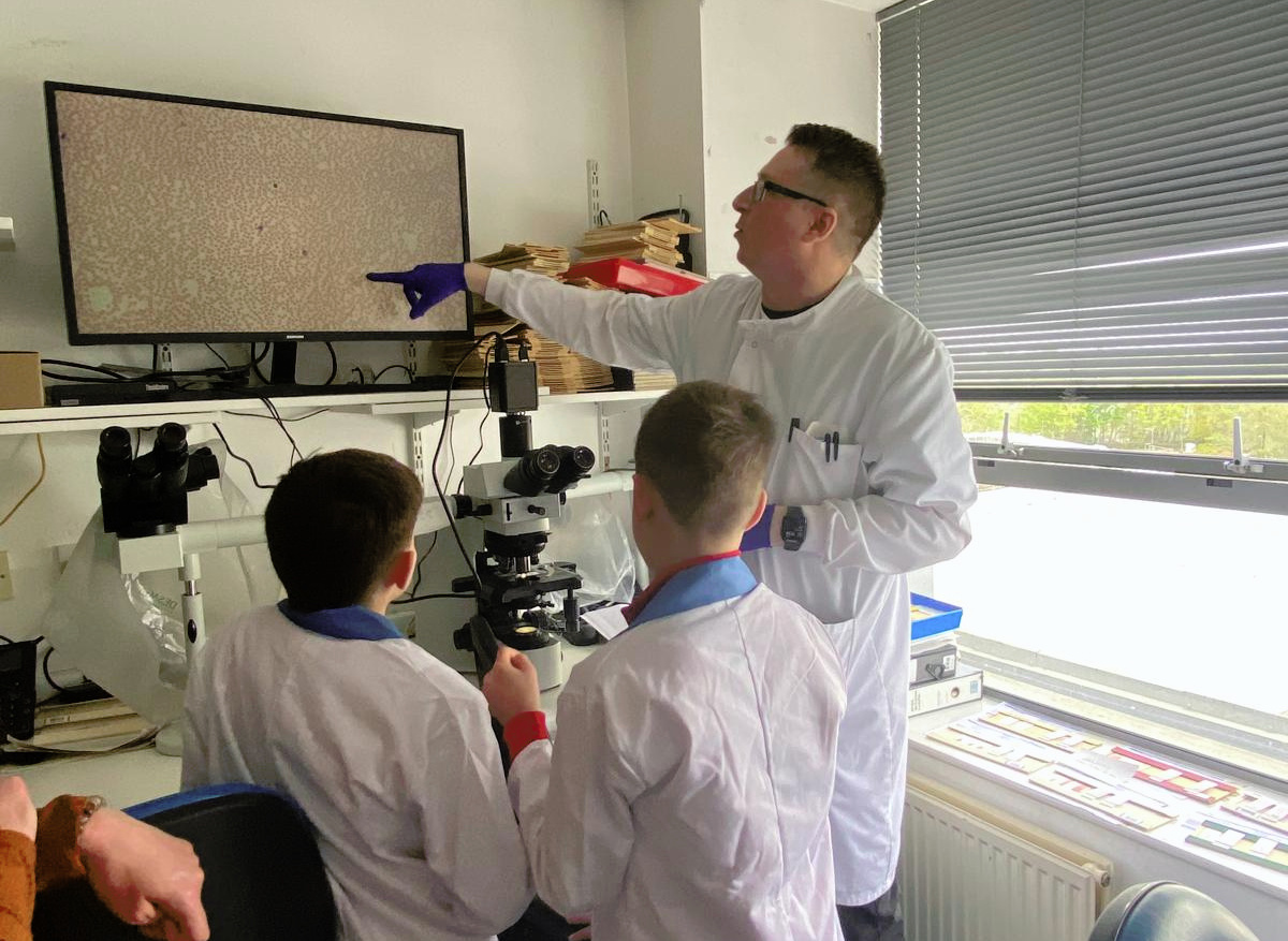 Watching a scientist explain what blood cells look like on screen